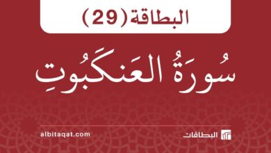 بطاقة سورة العنكبوت (29)