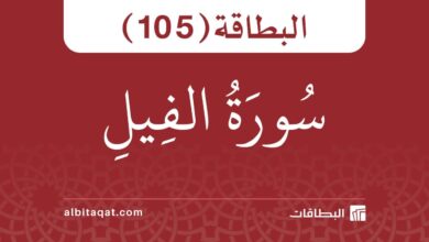 سورة الفيل (105)